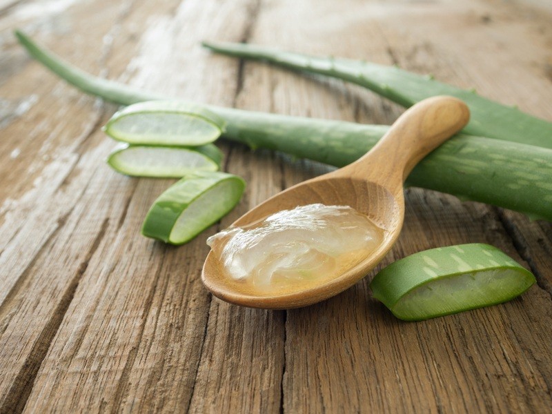 aloe vera ajuda o cabelo crescer