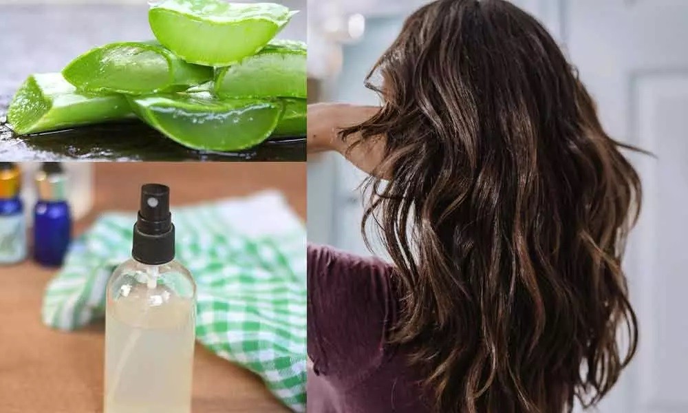 aloe vera para obter cabelo macio e brilhoso