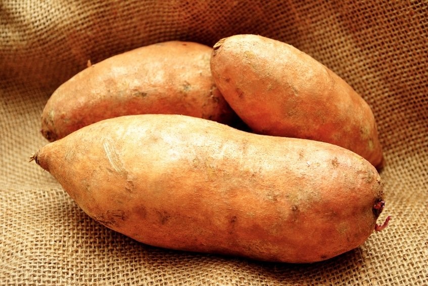 batata doce previne a queda de cabelo