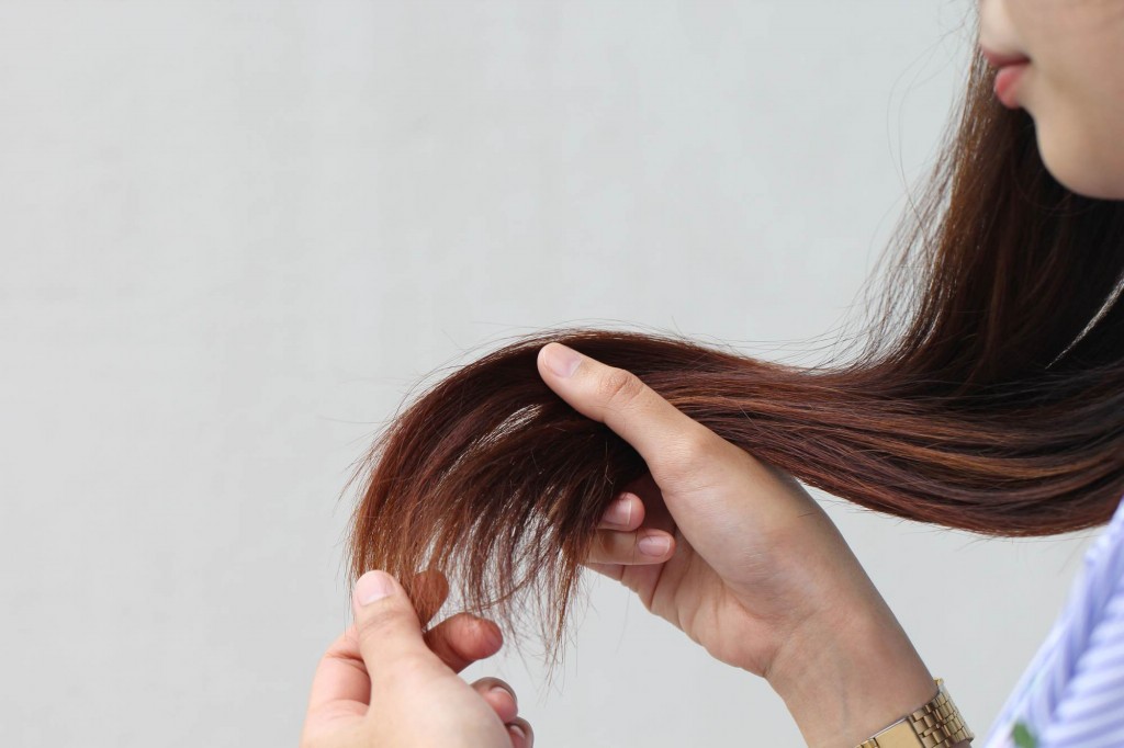 cabelo ressecado causas