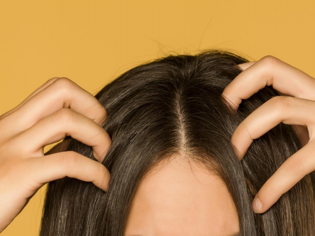 dica para diminuir a oleosidade excessiva do cabelo