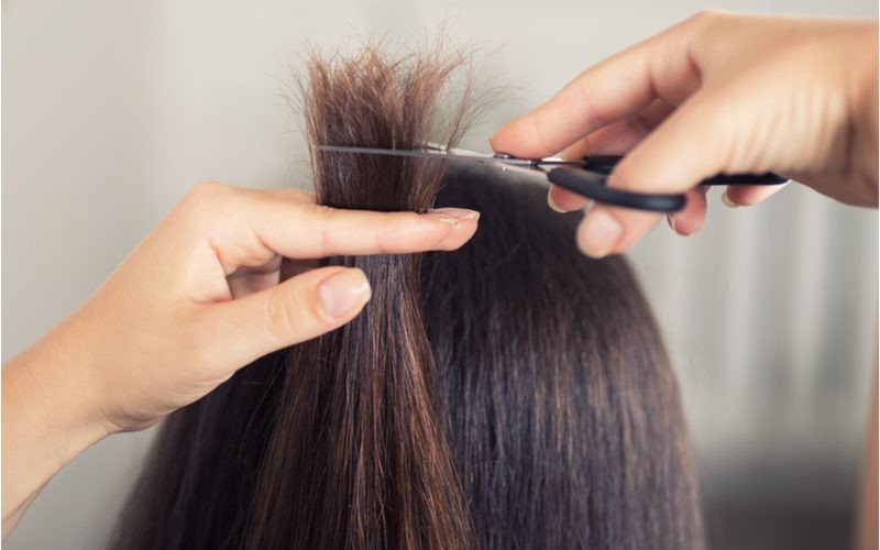 faca um corte no cabelo danificado