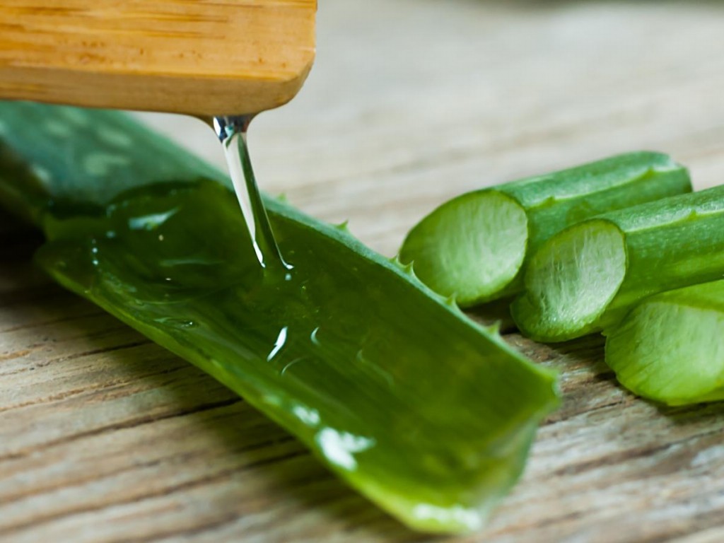 mascara de aloe vera para o cabelo