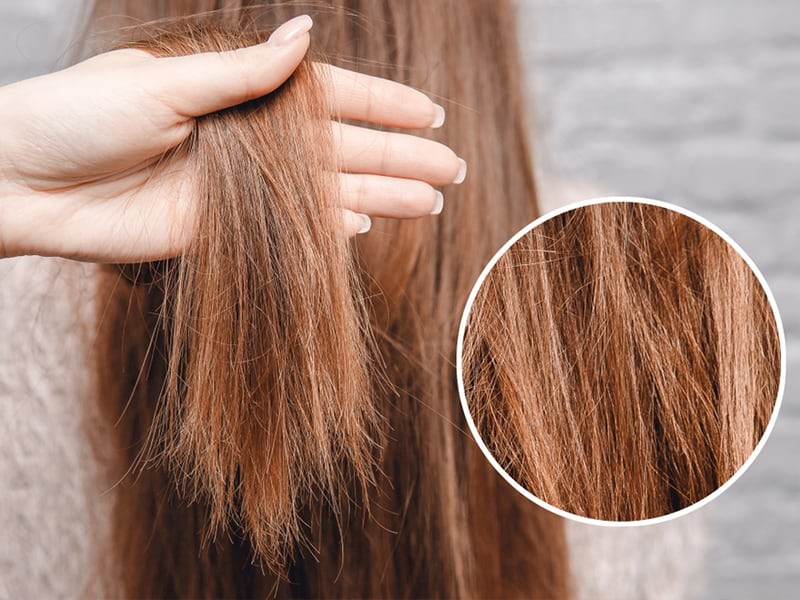 tratamento para selar a cuticula do cabelo