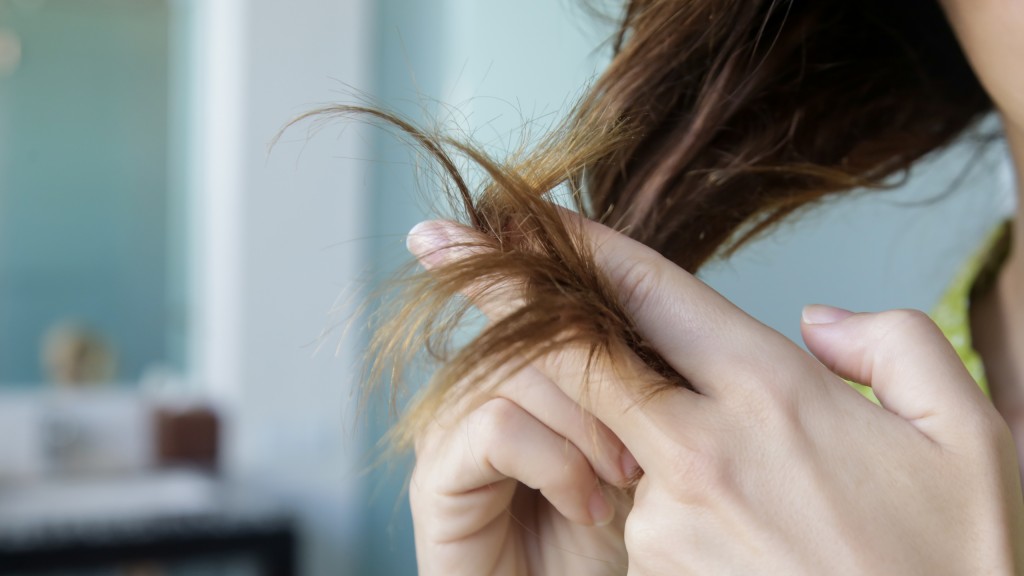 use oleo para evitar danos ao cabelo