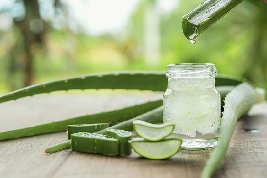 aloe vera para reduzir o frizz