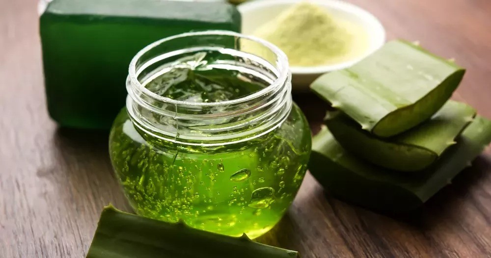 aloe vera para restaurar o brilho do cabelo