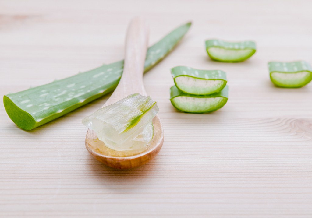 hidrate o cabelo com uma mascara de aloe