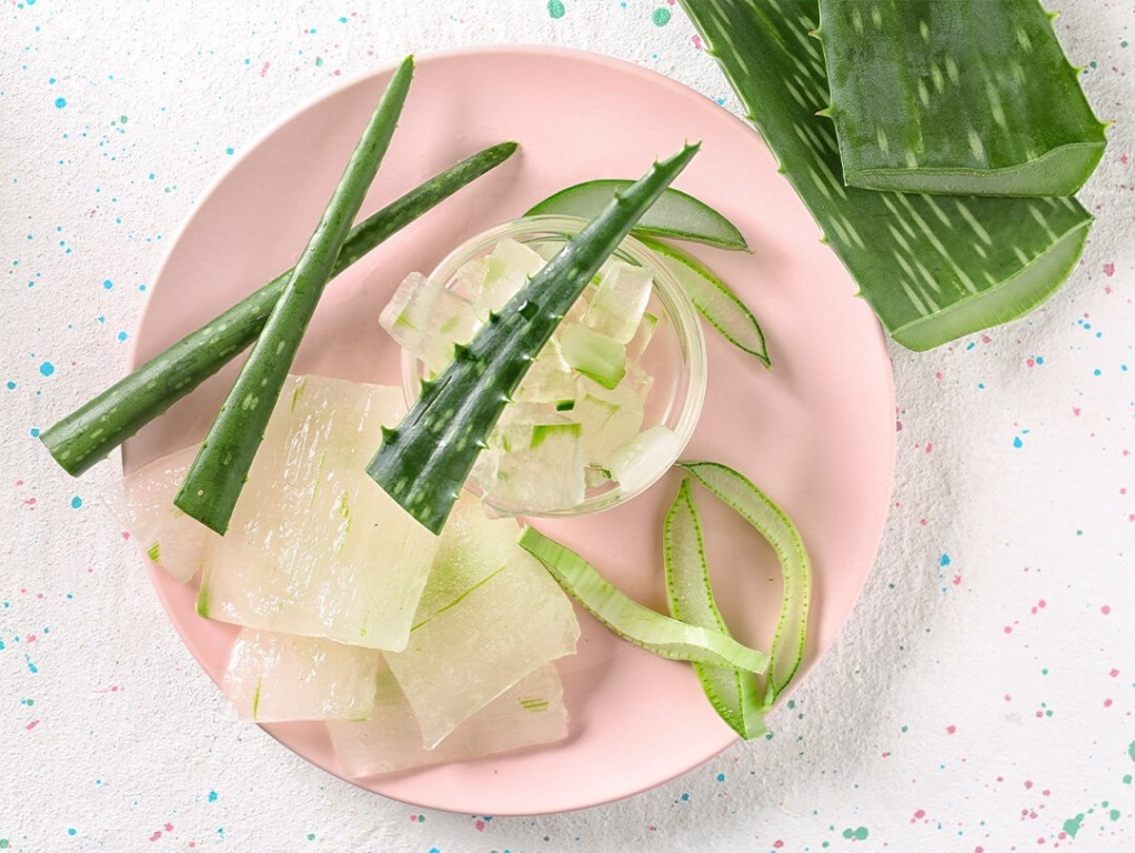 massagem com aloe vera em cabelo seco