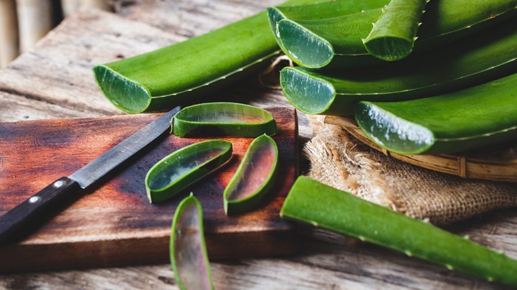 produtos que contem aloe vera para melhorar a textura do cabelo