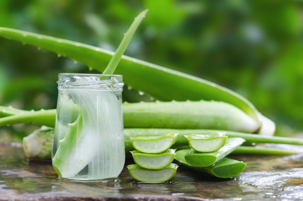 gel de aloe vera