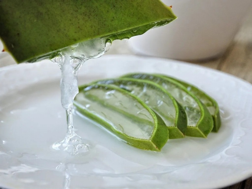 mascara de aloe vera para deixar o cabelo sedoso macio e brilhante