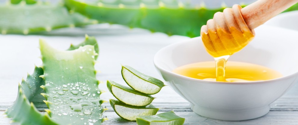 Use de aloe vera e mel para obter cabelos saudaveis e brilhantes