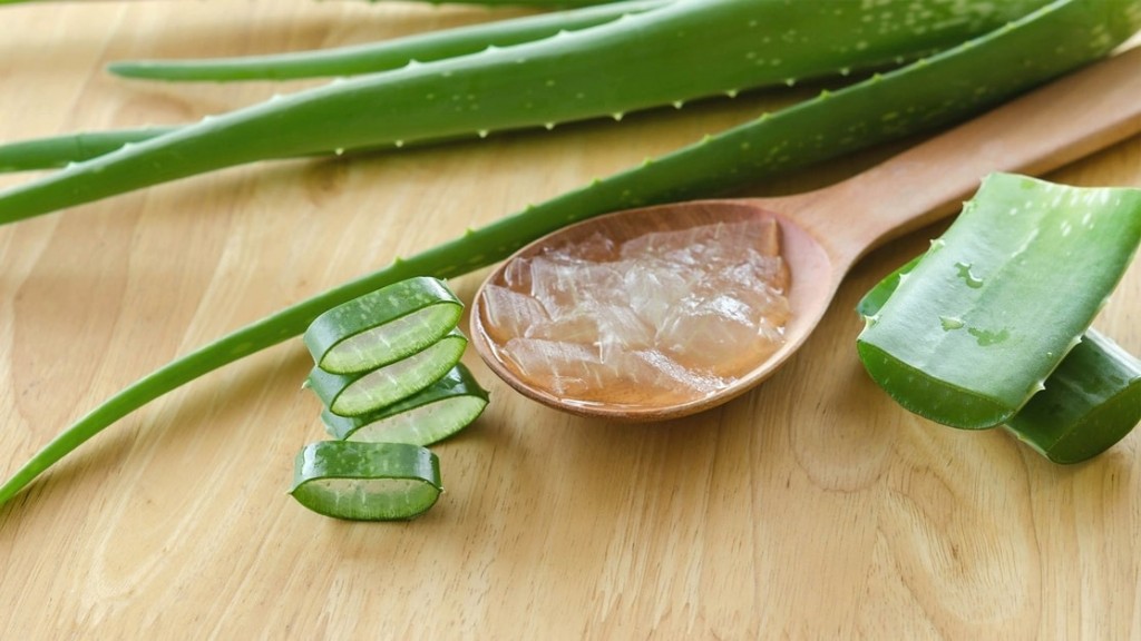 mascara caseira de gel de aloe vera