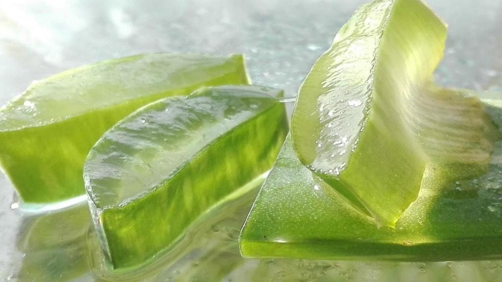 use aloe vera em seu cabelo e couro cabeludo